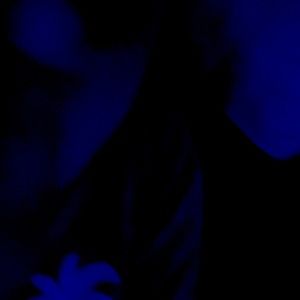 Meet your Posher, Alexia